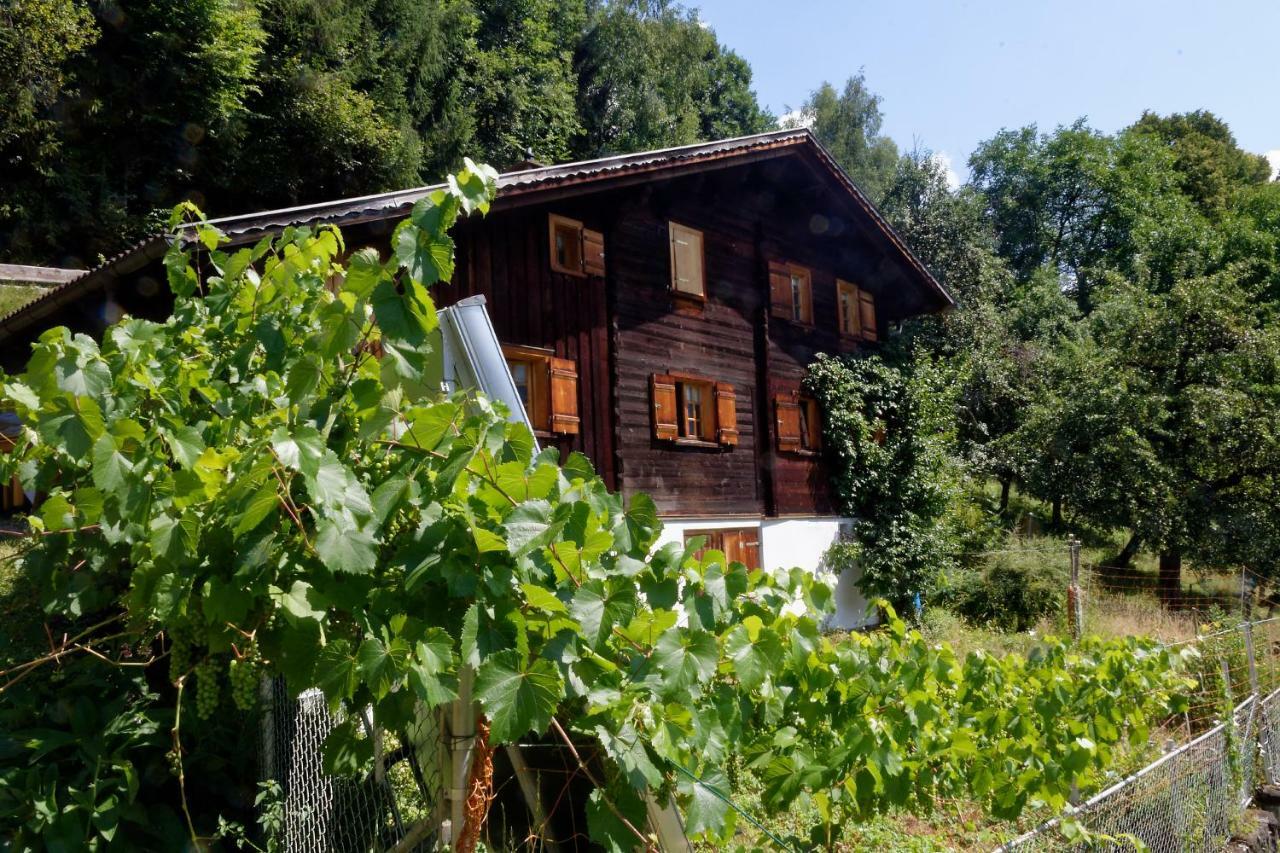 Landhaus Tenne Bartholomaeberg Ngoại thất bức ảnh