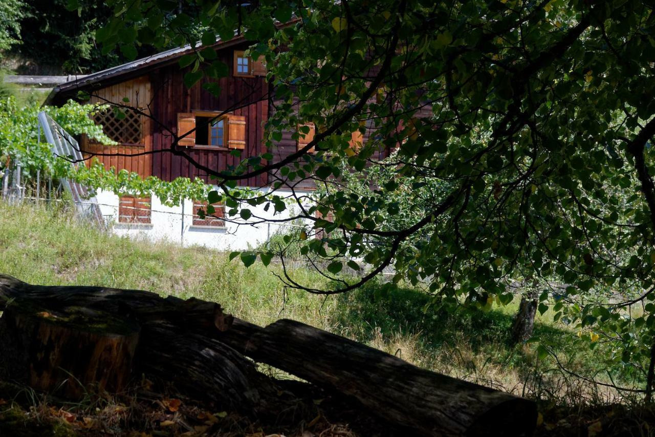 Landhaus Tenne Bartholomaeberg Ngoại thất bức ảnh